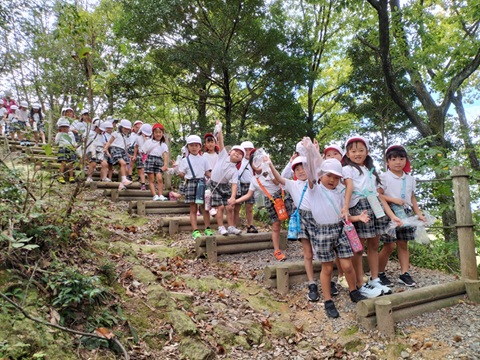 山登り